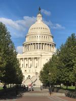 Washington - Capitol &ndash; &copy; Ralf Mehnert (Eberhardt TRAVEL)