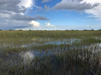 Everglades &ndash; &copy; Ralf Mehnert (Eberhardt TRAVEL)