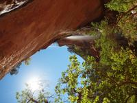 101_Zion Nationalpark &ndash; &copy; Juliane Voigt (Eberhardt TRAVEL)