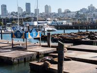 Pier 39, San Francisco &ndash; &copy; Anna Stiebing (Eberhardt TRAVEL)