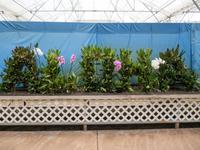 ALOHA &ndash; &copy; Anna Stiebing (Eberhardt TRAVEL)