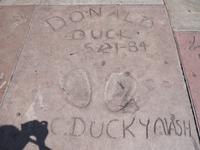 Donald Duck &ndash; &copy; Anna Stiebing (Eberhardt TRAVEL)