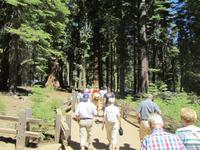Yosemite NP &ndash; &copy; Sandra Braune (Eberhardt TRAVEL)