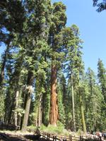 Yosemite NP &ndash; &copy; Sandra Braune (Eberhardt TRAVEL)