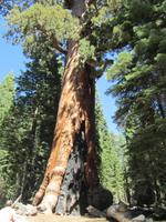 Yosemite NP &ndash; &copy; Sandra Braune (Eberhardt TRAVEL)