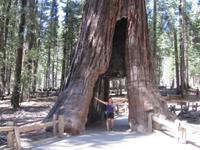 Yosemite NP &ndash; &copy; Sandra Braune (Eberhardt TRAVEL)