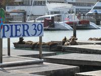 San Francisco &ndash; &copy; Sandra Braune (Eberhardt TRAVEL)
