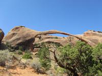 Arches Nationalpark &ndash; &copy; Sandra Braune (Eberhardt TRAVEL)