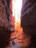Bryce Canyon  &ndash; &copy; Sandra Braune (Eberhardt TRAVEL)