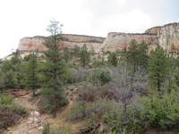 Zion Nationalpark &ndash; &copy; Marcus Kühn (Eberhardt TRAVEL)