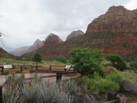 Zion Nationalpark &ndash; &copy; Marcus Kühn (Eberhardt TRAVEL)