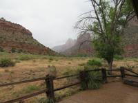 Zion Nationalpark &ndash; &copy; Marcus Kühn (Eberhardt TRAVEL)