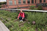 High Line  &ndash; &copy; Madlena Voigt (Eberhardt TRAVEL)