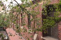 High Line  &ndash; &copy; Madlena Voigt (Eberhardt TRAVEL)