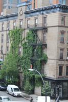 High Line  &ndash; &copy; Madlena Voigt (Eberhardt TRAVEL)