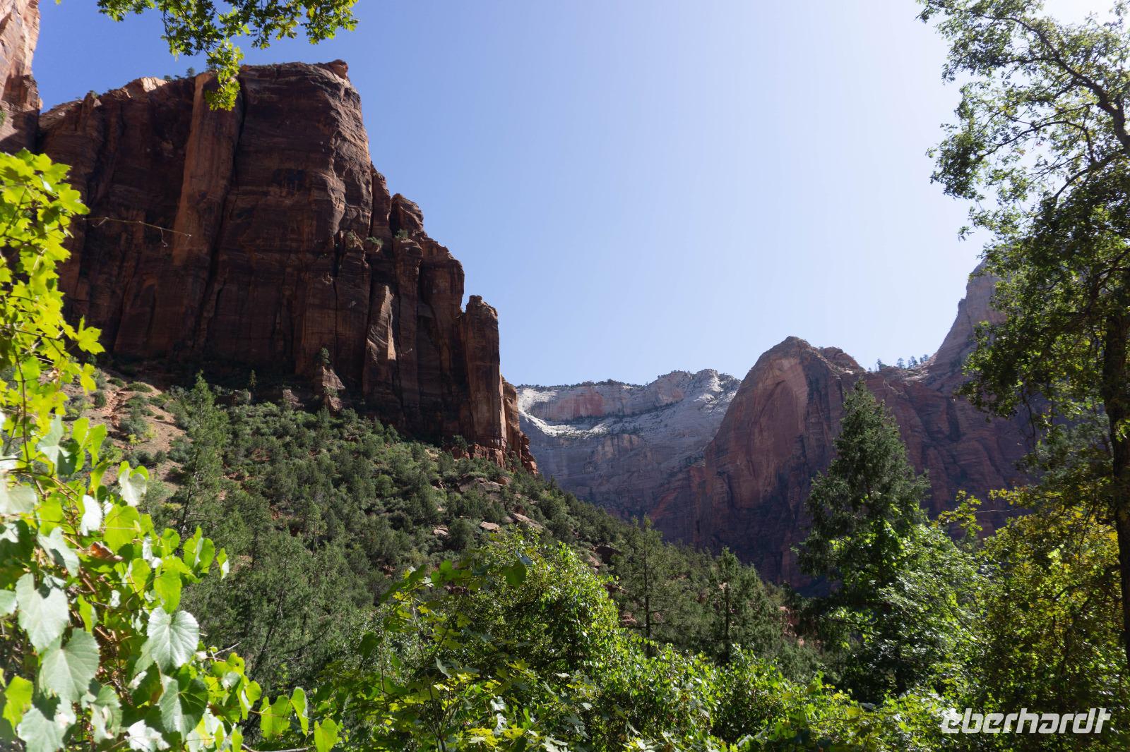 Zion Nationalpark &ndash; &copy; Carina Henn (Eberhardt TRAVEL)