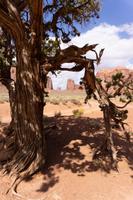 70_Monument Valley &ndash; &copy; Carina Henn (Eberhardt TRAVEL)