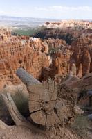 Bryce Canyon  &ndash; &copy; Carina Henn (Eberhardt TRAVEL)