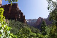 Zion Nationalpark &ndash; &copy; Carina Henn (Eberhardt TRAVEL)