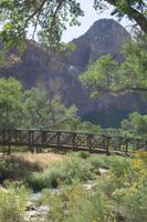 Zion Nationalpark &ndash; &copy; Carina Henn (Eberhardt TRAVEL)