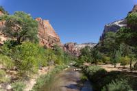Zion Nationalpark &ndash; &copy; Carina Henn (Eberhardt TRAVEL)