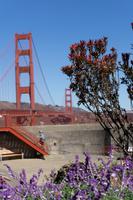 San Francisco - Golden Gate &ndash; &copy; Carina Henn (Eberhardt TRAVEL)