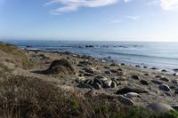 Highway One - See Elefanten &ndash; &copy; Carina Henn (Eberhardt TRAVEL)