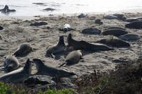 Highway One - See Elefanten &ndash; &copy; Carina Henn (Eberhardt TRAVEL)