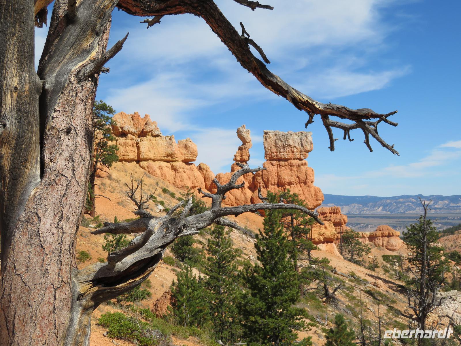 am Fairyland-Trail &ndash; &copy; Jürgen Schmeißer (Eberhardt TRAVEL)