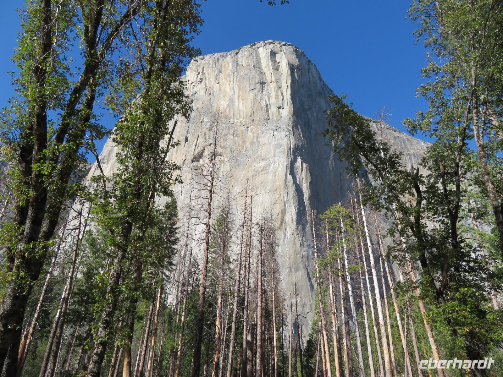 El Capitain &ndash; &copy; Jürgen Schmeißer (Eberhardt TRAVEL)