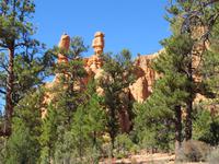 Red Canyon