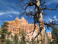 am Fairyland-Trail &ndash; &copy; Jürgen Schmeißer (Eberhardt TRAVEL)