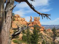 am Fairyland-Trail &ndash; &copy; Jürgen Schmeißer (Eberhardt TRAVEL)
