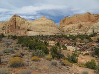 Capitol Reef &ndash; &copy; Jürgen Schmeißer (Eberhardt TRAVEL)