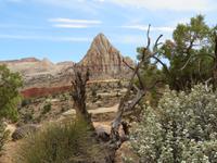 Capitol Reef &ndash; &copy; Jürgen Schmeißer (Eberhardt TRAVEL)