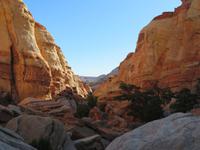 Cohab Canyon &ndash; &copy; Jürgen Schmeißer (Eberhardt TRAVEL)