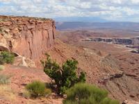Canyonlands &ndash; &copy; Jürgen Schmeißer (Eberhardt TRAVEL)