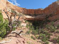 Canyonlands &ndash; &copy; Jürgen Schmeißer (Eberhardt TRAVEL)