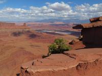 Dead Horse Point &ndash; &copy; Jürgen Schmeißer (Eberhardt TRAVEL)