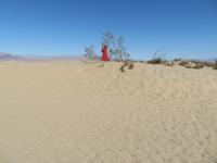 Death Valley &ndash; &copy; Jürgen Schmeißer (Eberhardt TRAVEL)