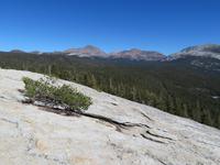 Blick vom Lembert Dome &ndash; &copy; Jürgen Schmeißer (Eberhardt TRAVEL)