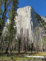 El Capitain &ndash; &copy; Jürgen Schmeißer (Eberhardt TRAVEL)