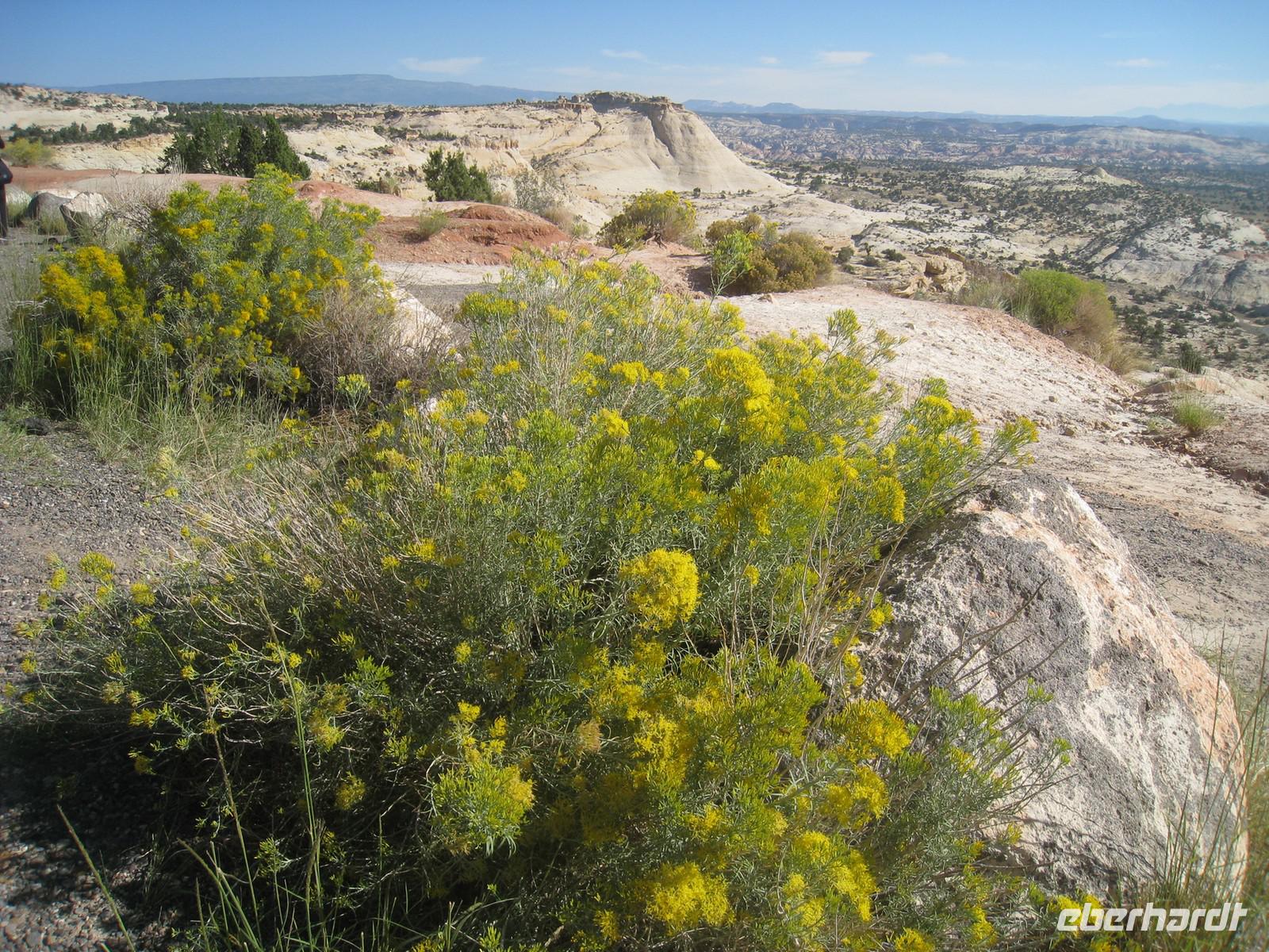 im Escalante Staircase NP &ndash; &copy; Jürgen Schmeißer (Eberhardt TRAVEL)