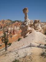 Märchenland Bryce &ndash; &copy; Jürgen Schmeißer (Eberhardt TRAVEL)