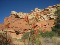 Cohab Canyon &ndash; &copy; Jürgen Schmeißer (Eberhardt TRAVEL)