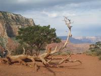 Grand Canyon &ndash; &copy; Jürgen Schmeißer (Eberhardt TRAVEL)
