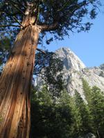 im Yosemite Valley &ndash; &copy; Jürgen Schmeißer (Eberhardt TRAVEL)