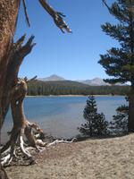 Doge Lake