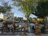 Buchara - Lyabi Chaus &ndash; &copy; Anna Jeske (Eberhardt TRAVEL)