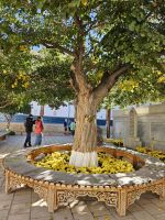 Maulbeerbaum und Grab von Nakschbandi &ndash; &copy; Anna Jeske (Eberhardt TRAVEL)